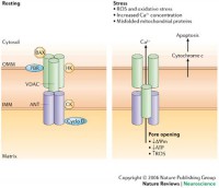 /album/antonio-ascens%c3%a3o/mptp1-jpg/