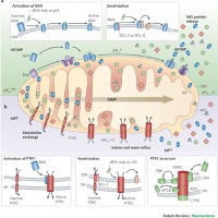 /album/antonio-ascens%c3%a3o/mptp2-jpg/