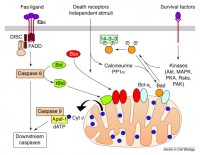 /album/antonio-ascens%c3%a3o/mptp3-jpg/