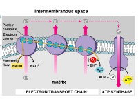 /album/antonio-ascens%c3%a3o/cte1-jpg/