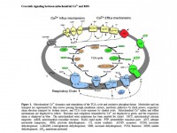 /album/antonio-ascens%c3%a3o/slide1-jpg/