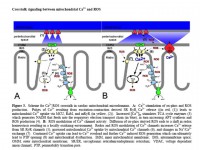 /album/antonio-ascens%c3%a3o/slide3-jpg/
