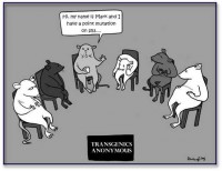 /album/antonio-ascens%c3%a3o/p53-jpg/