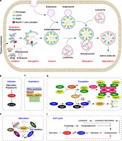 /album/antonio-ascens%c3%a3o/cdd2010191f1-jpg/